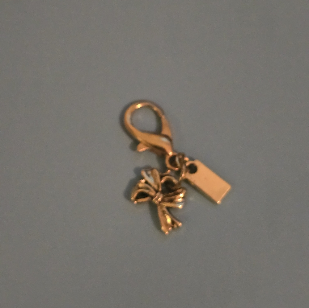 Tiny Bow Bag Charm Keychain, Zipper Pull Replacem… - image 3